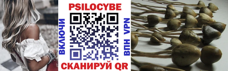 Купить закладки  Сочи  Галлюциногенные грибы прущие грибы 